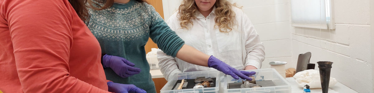 Members of NWFed practising packing museum objects into plastic boxes at a Museums Basics training.
